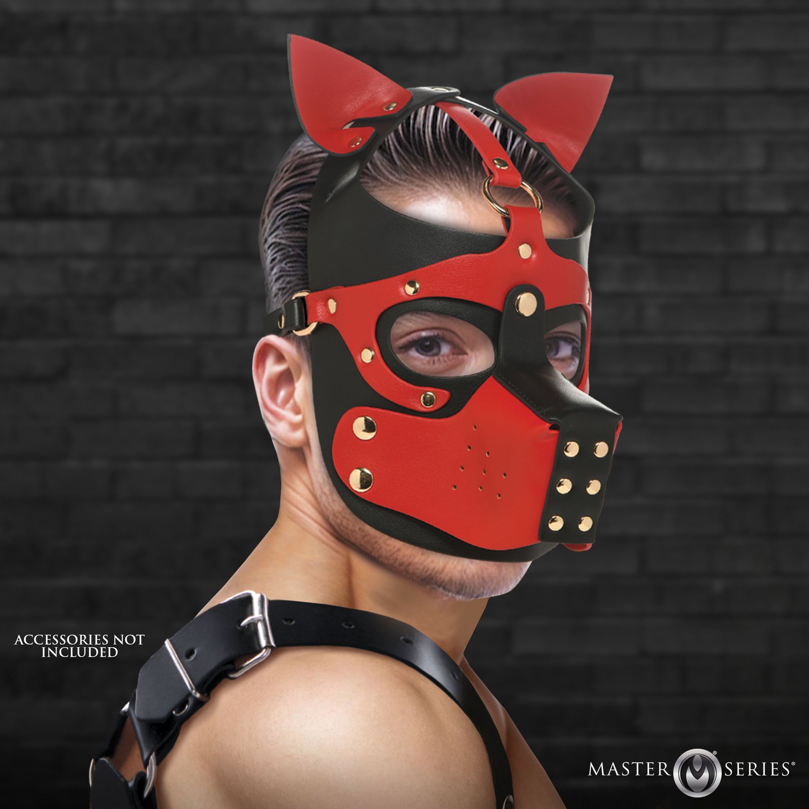 AH479_STD_MAIN AH479 Hound Hood with Muzzle