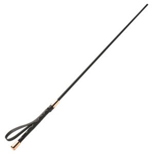 AH598 Sinful Impact Cane