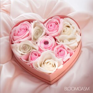 AH757 The Rose Lovers Gift Box - Pink Swirl