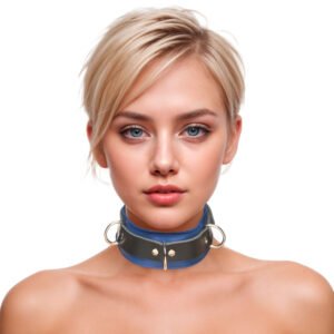 SL209 Strict Leather Deluxe Locking Collar - Blue and Black