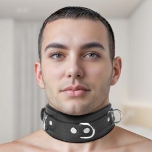 SV525 Strict Leather Premium Locking Collar