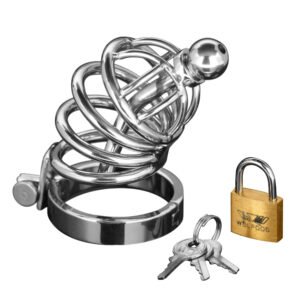 AD147-SM Asylum 4 Ring Locking Chastity Cage