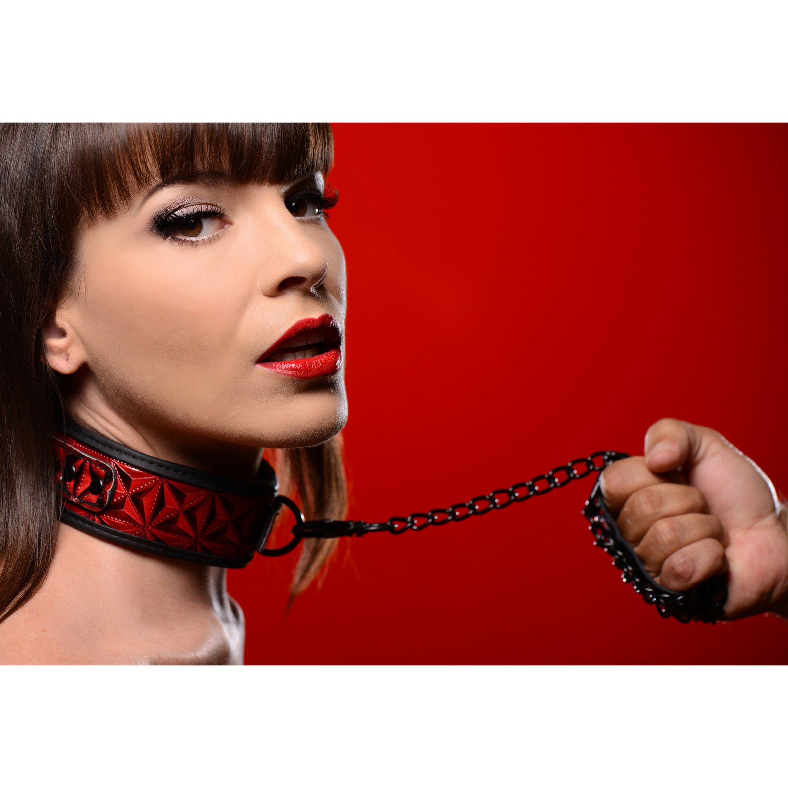 ae144-model-side AE144 Crimson Tied Collar with Leash