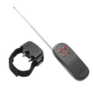 AE237 Cock Shock Remote CBT Electric Cock Ring