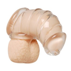 AE408 Detained Soft Body Chastity Cage