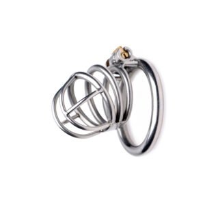 AF235 The Pen Deluxe Stainless Steel Locking Chastity Cage