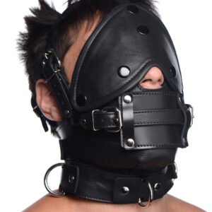 AG670 Leather Head Harness with Removeable Gag