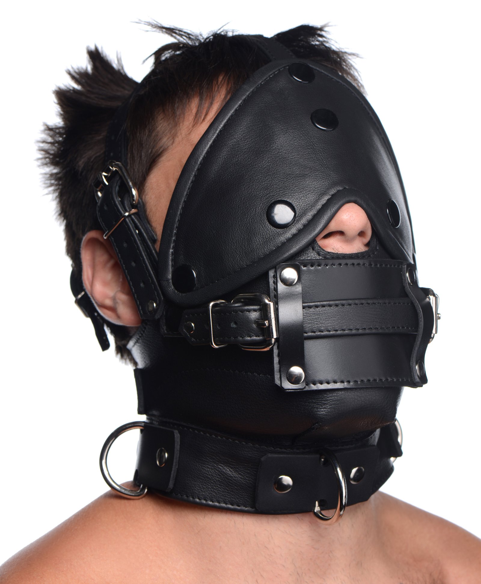 ag670-male-model-009 AG670 Leather Head Harness with Removeable Gag