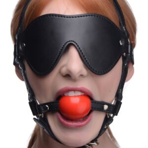 AG696 Blindfold Harness and Red Ball Gag