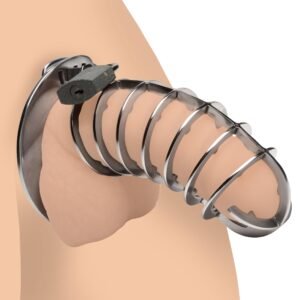 AG884 Stainless Steel Spiked Chastity Cage