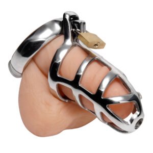 SL101 Detained Chastity Cage