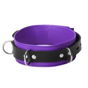 SL212 Strict Leather Deluxe Locking Collar - Purple and Black