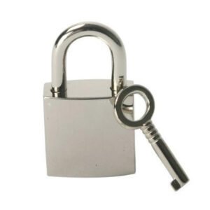 VF890 Chrome Lock
